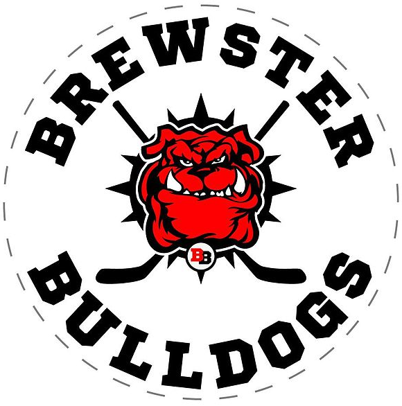 Brewster Bulldogs 2016 Primary Logo iron on transfers for T-shirts